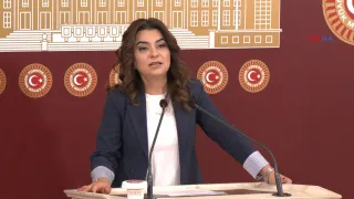 Gülistan Kılıç Koçyiğit: Newroz’da halk atılacak yasal çerçeveyi ortaya koymuştur-VİDEO